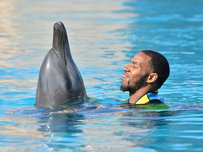 新疆飞虎雄鹰邂逅迪拜海浪：亚当斯与海豚共谱假日乐章