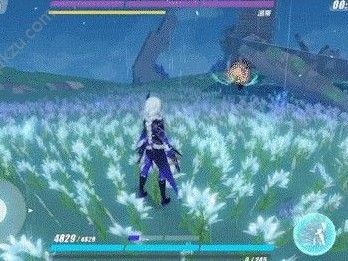 夜曲编程体验谈：零基础学Python，这软件真能带你入门吗？