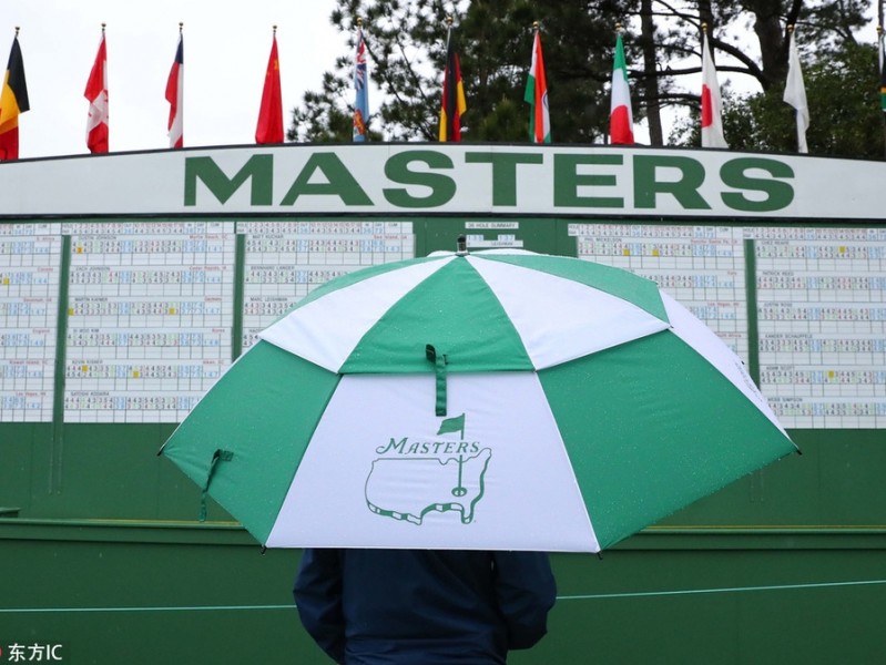 奥古斯塔雨中绽放的斑斓花海